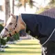 Amigo 1200D Plus pony Turnout 50 gram regendeken
